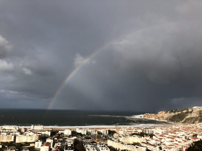 1820515C 99FD 4A68 9D14 C73C60691F1D 1 105 c 768x576