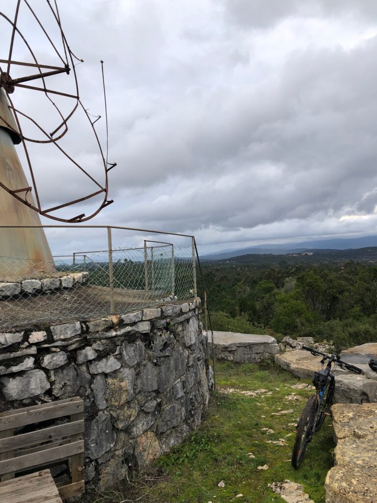 1C6B7385 DFB2 451C 8514 EDD43108DE68 768x1024