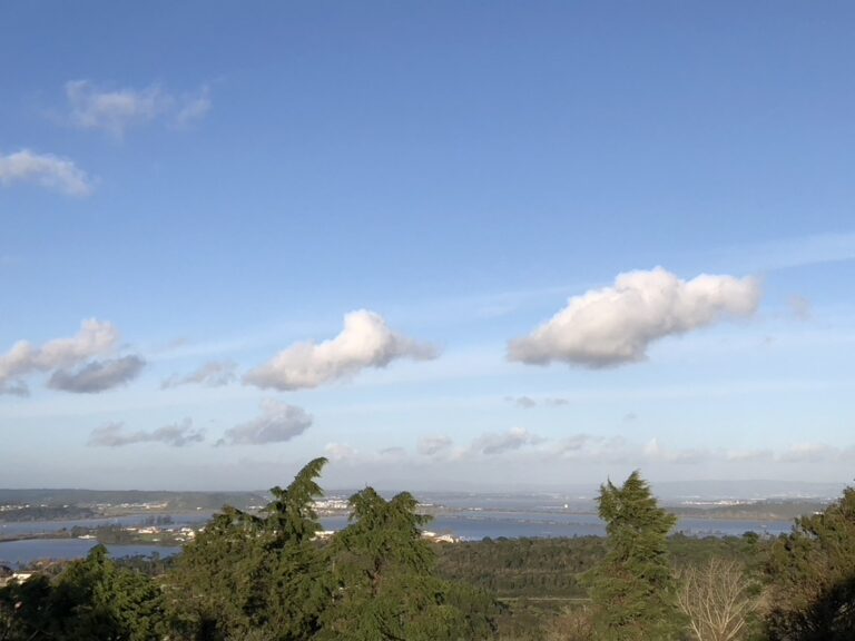 1C72C5DA 4D55 48D8 9755 C2F46371B816 1 105 c 768x576