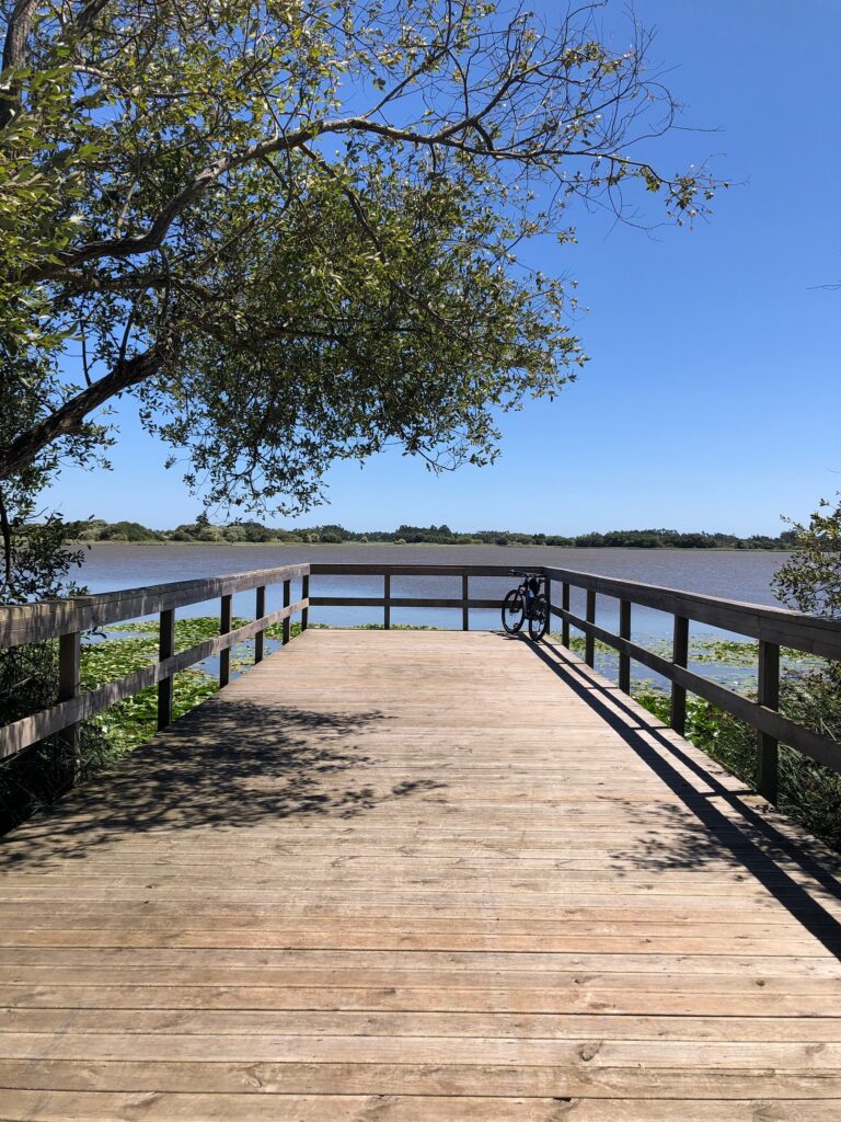 1CBB9958 9E54 448A 9186 E5A47B725F97 768x1024