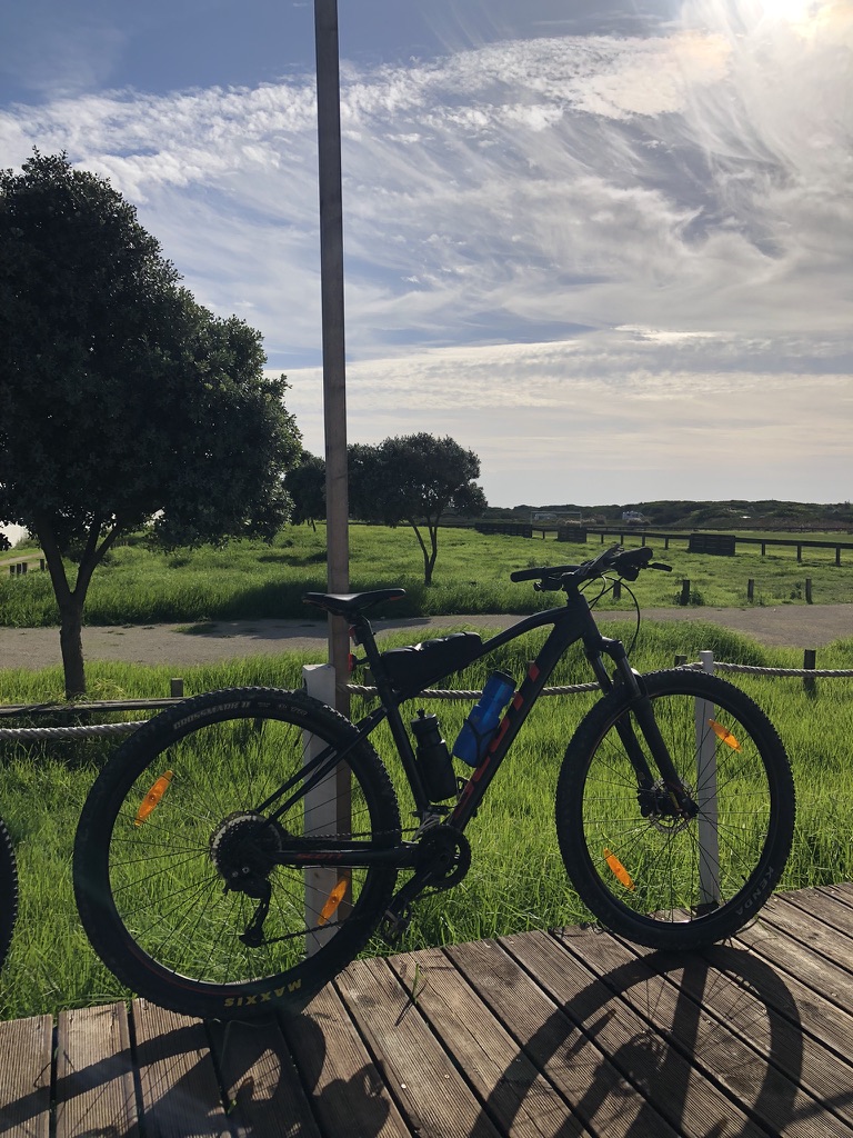 2386206E 69FA 4669 9554 2444E8D19E33 1 105 c