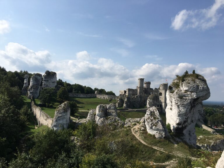 245DFD50 E476 4BDD 9290 739C0EAE04FF 768x576