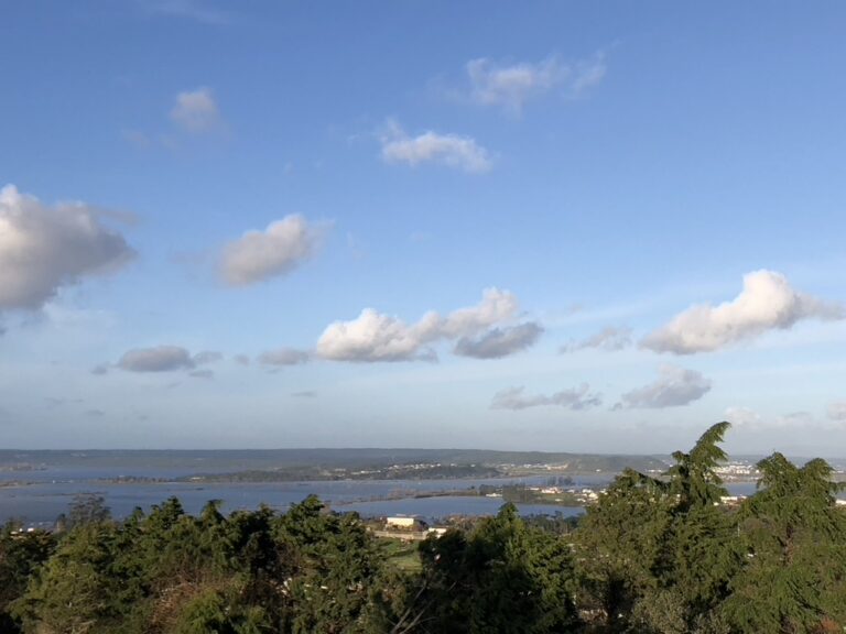 2D3B5D69 682B 410E B9FF 138F6C329A1A 1 105 c 768x576