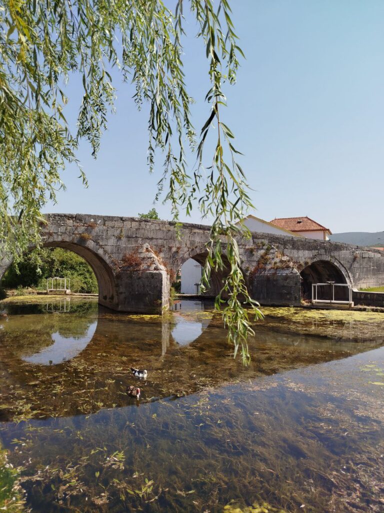 31022B96 700C 4477 9AFE F27712EAA853 768x1024