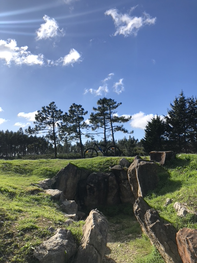 3137F563 F18E 4319 84F2 1C19EBD2CFA1 1 105 c