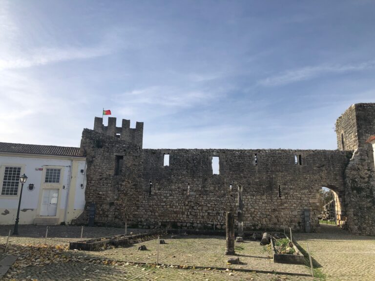 384F01CF 690B 4441 B69A 487B43E0C4BB 768x576