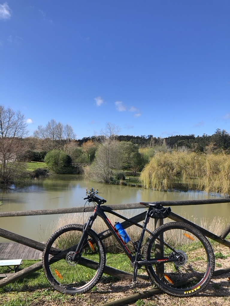 44D16D55 E187 417D A348 CAC5B9451C12 1 105 c