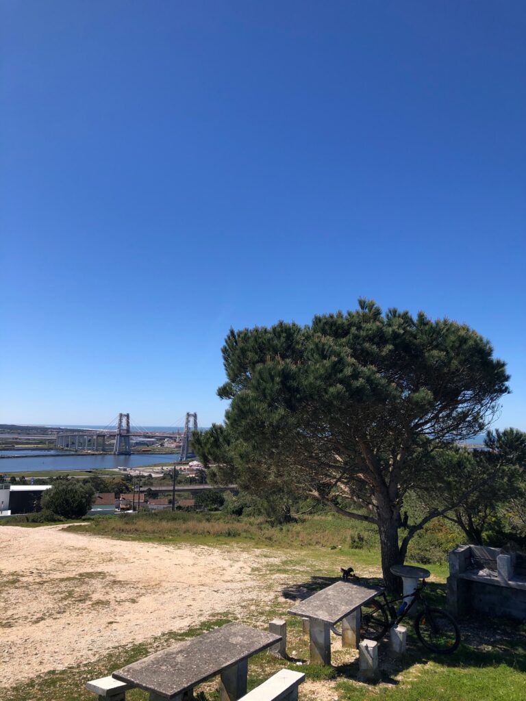 4B236BDA F139 452C 842C 52726850F595 768x1024