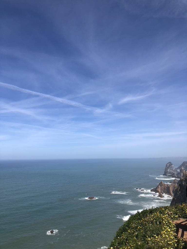 526ED680 E6F7 454E B57C 40E996D4BB91 1 105 c