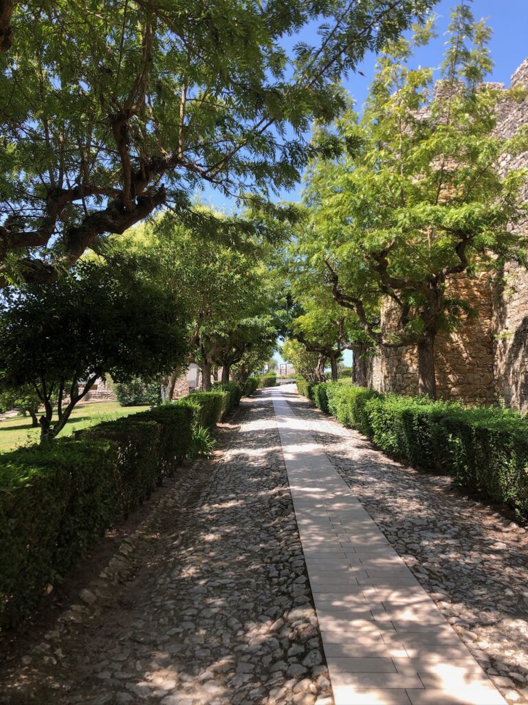 52D1F863 DA5C 4A1E 9103 933D50BA1C2B 768x1024