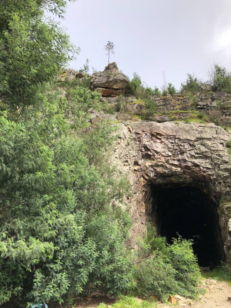 55CBE76C 17F4 4F1C 9082 0486A06F8CFB 768x1024