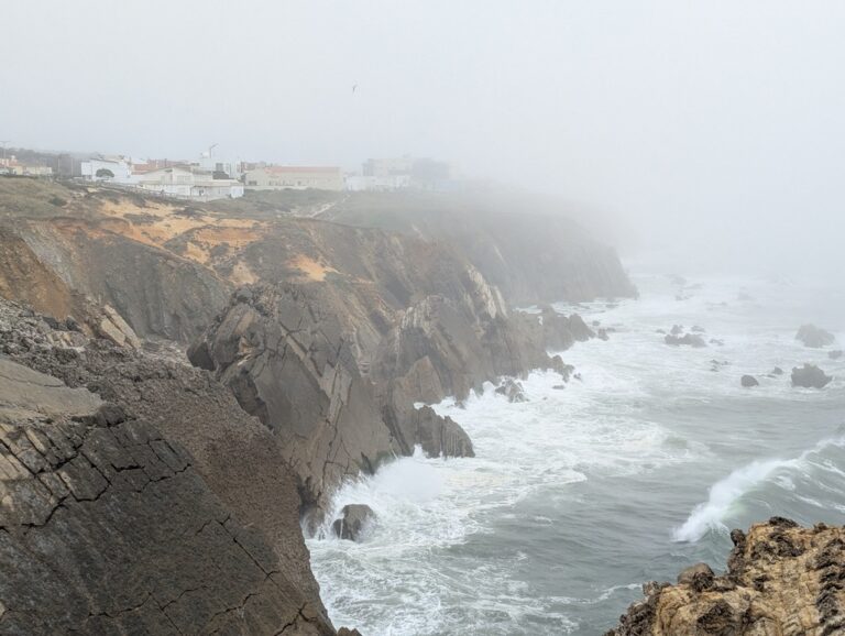 56378571 36EF 4C33 87E3 C06C5436CD9F 1 105 c 768x578