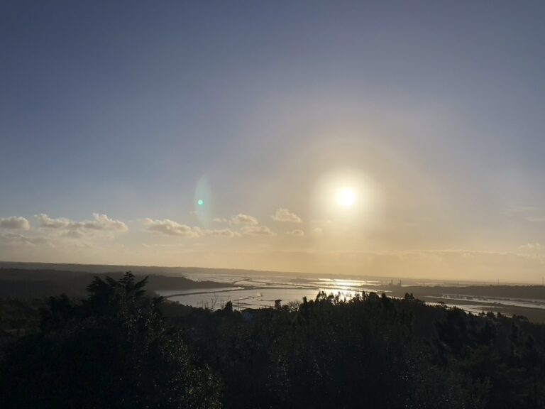 59793B07 2AAE 4485 909D 3235FA48BCA0 1 105 c 768x576