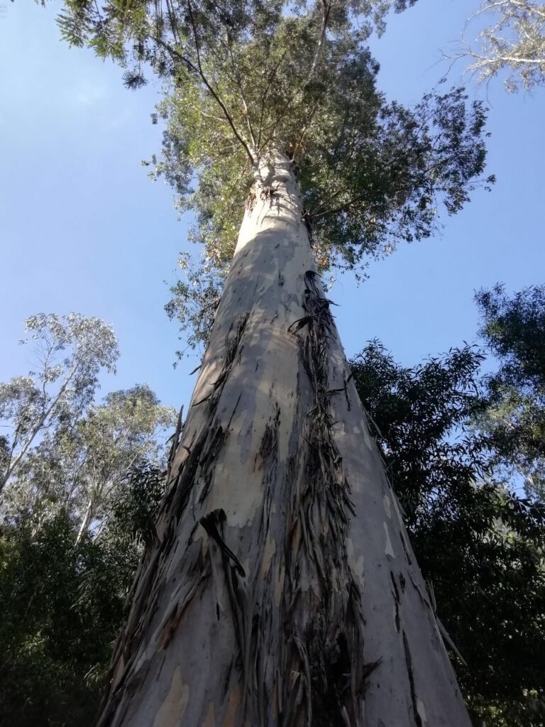 59AAF4D3 BB6F 46C0 AEC1 597BC32C92F3 768x1024