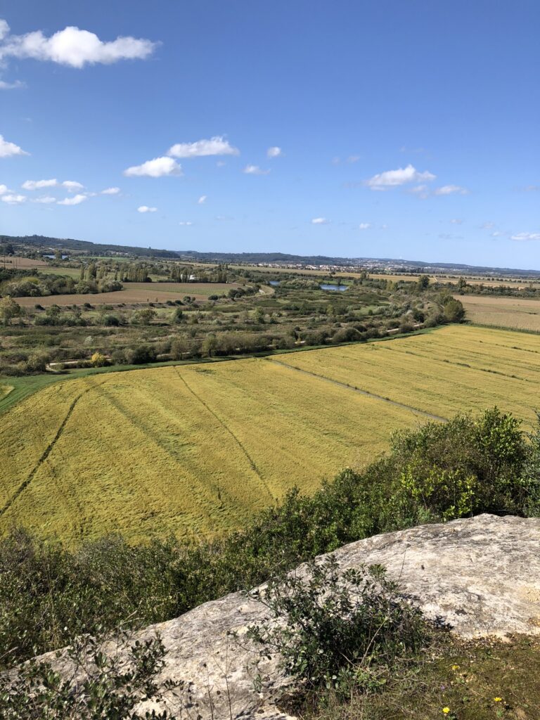 5CC6C812 1345 4BFE 888E F17A3B487583 1 102 o 768x1024