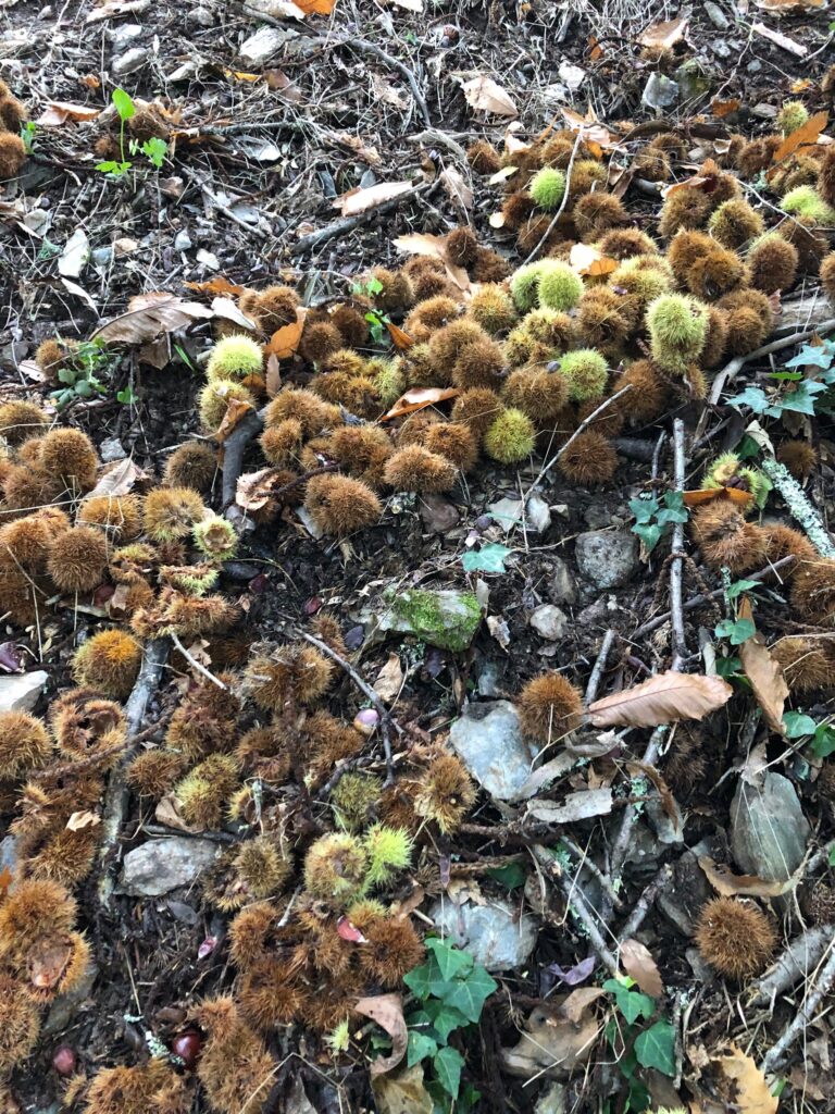 5D1FA609 44B7 40CE 91BB 5AE25BDBD562 768x1024