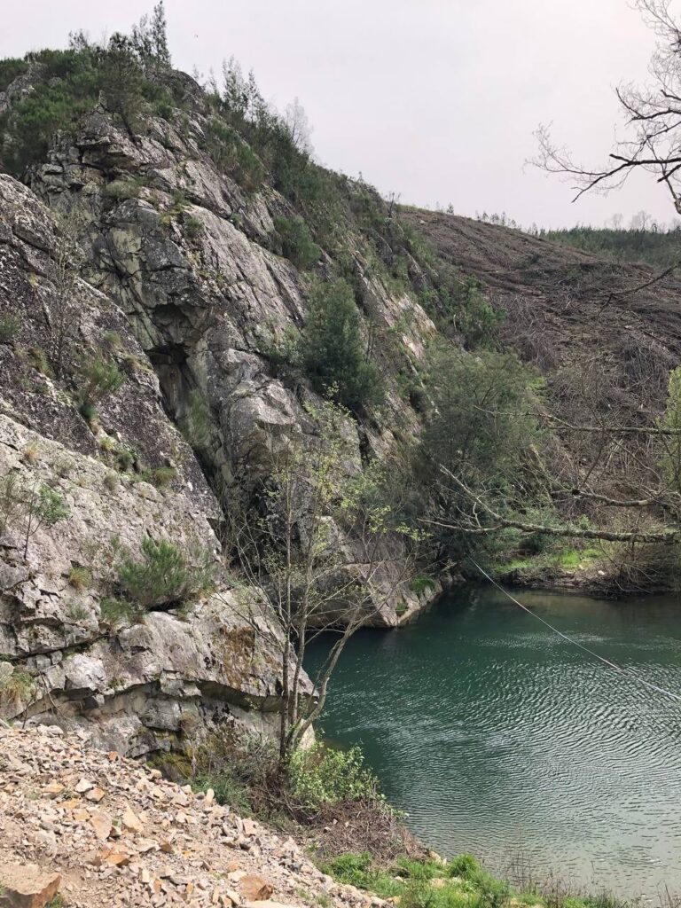 5FEA9E76 0473 4256 816E 1C5B6570E2FA 768x1024