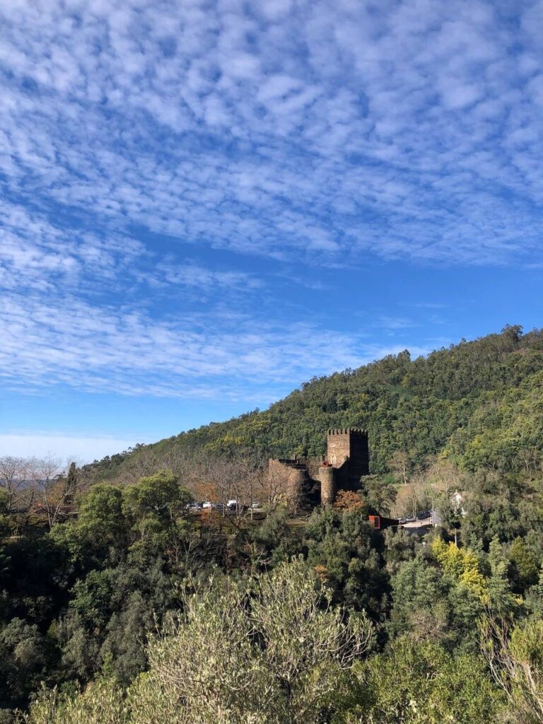 60D32A16 084B 466F 96C2 C04D059CD7AB 768x1024