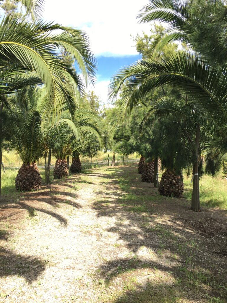 64CD5D9F 3C75 4AD5 91D6 F58E1CD5B9CA 768x1024