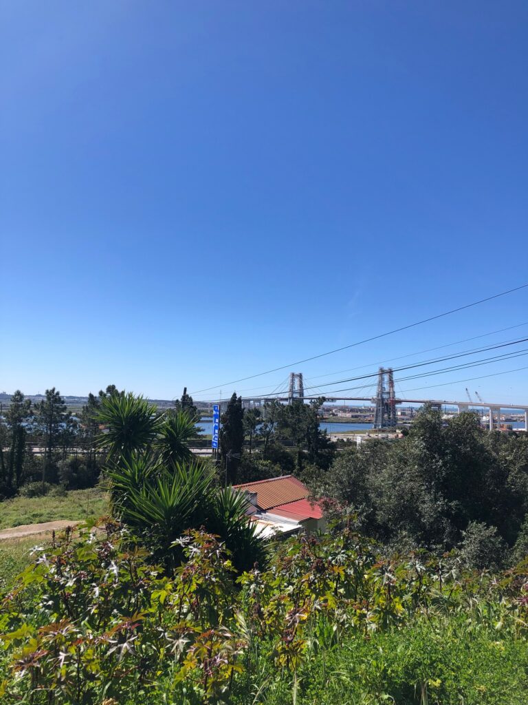 69325E4A E2BF 45BD 9E21 4116FA1CB37C 768x1024