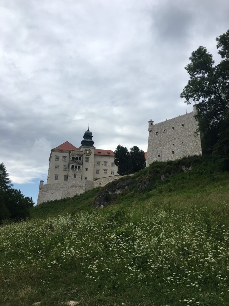 70660A35 8296 435F AA49 7833AC3A3FA8 768x1024