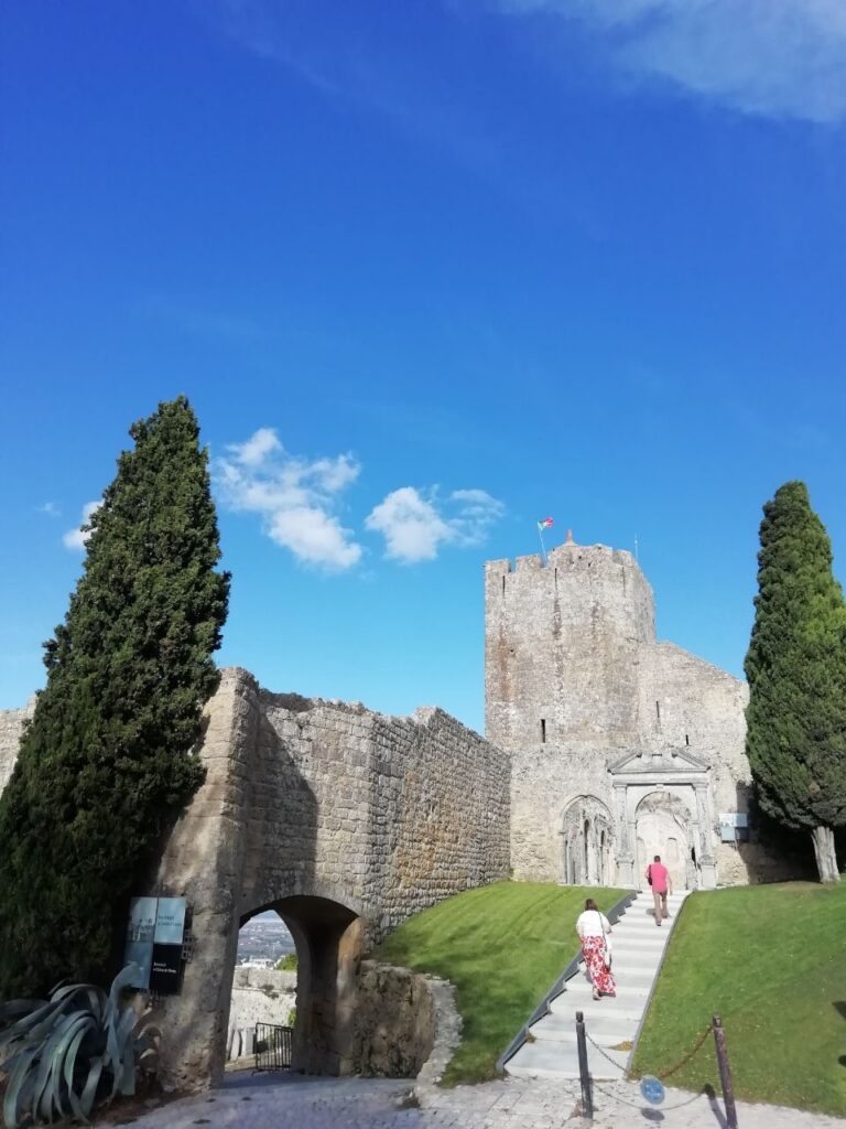 70AAD54F 58E0 4583 97AF 17C0D3FE1E97 768x1024