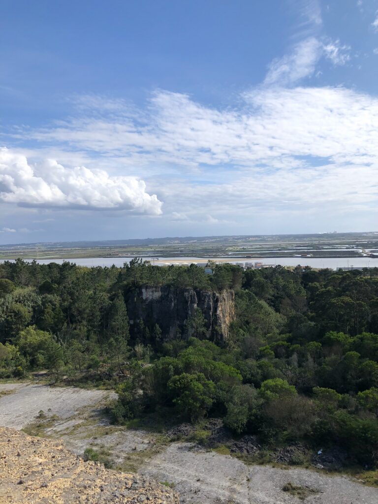 759B4919 3158 496F 89FC 993824EF34DA 768x1024