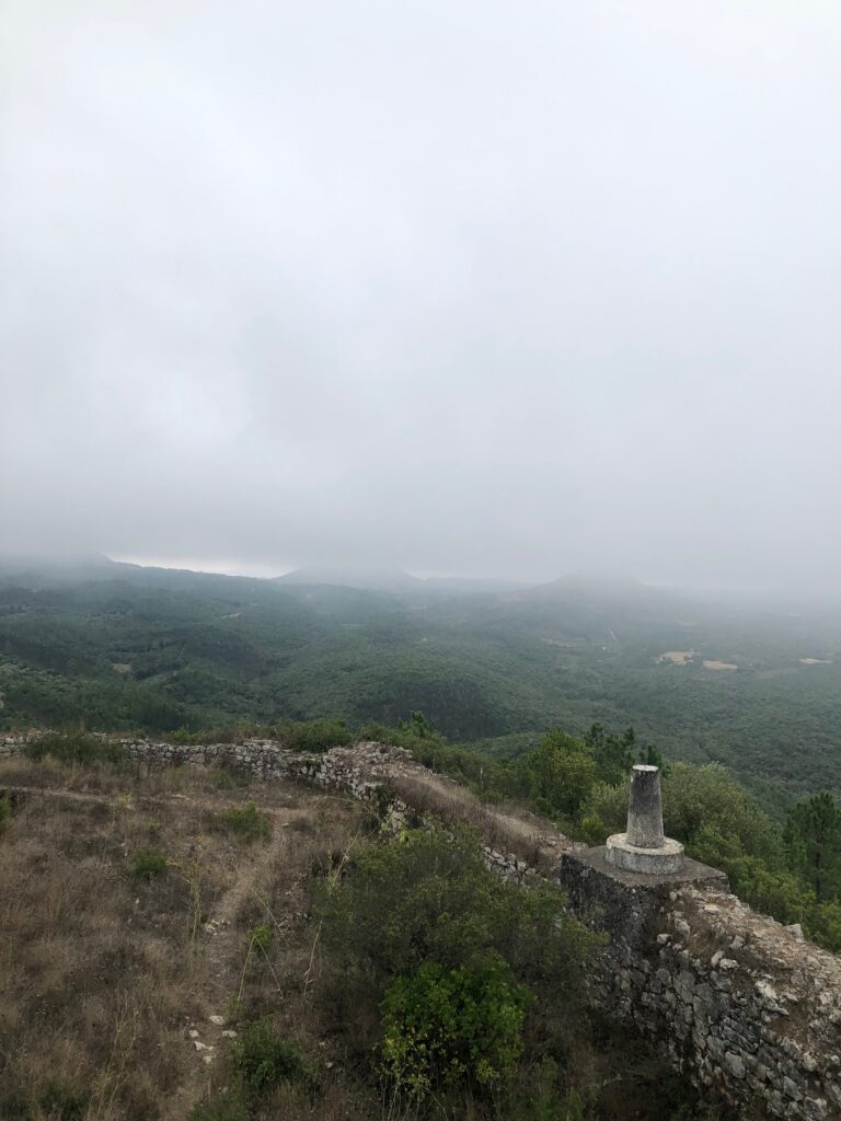 7615A7DD 809E 46F2 A873 5FB56708E39F 768x1024