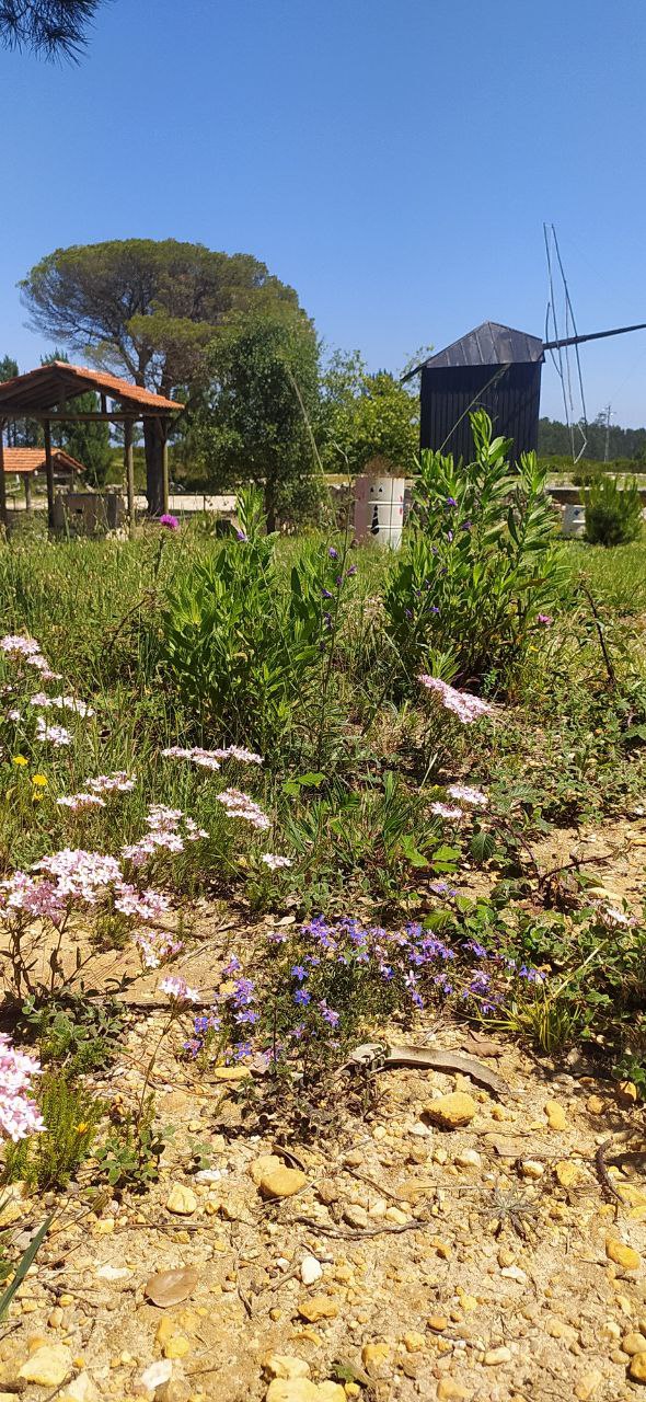 78E759C0 B2AE 44D5 A29D 6D19D0040D16