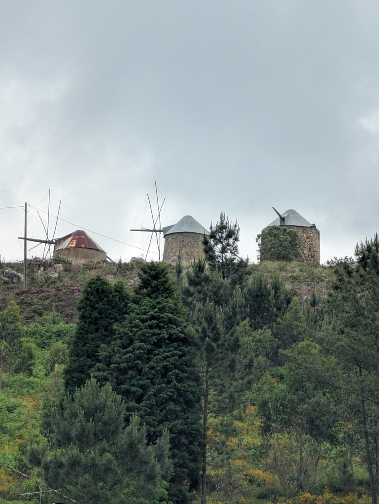 79FCB0B1 3E5A 4461 A4AF ACE912CD7BDD 1 105 c