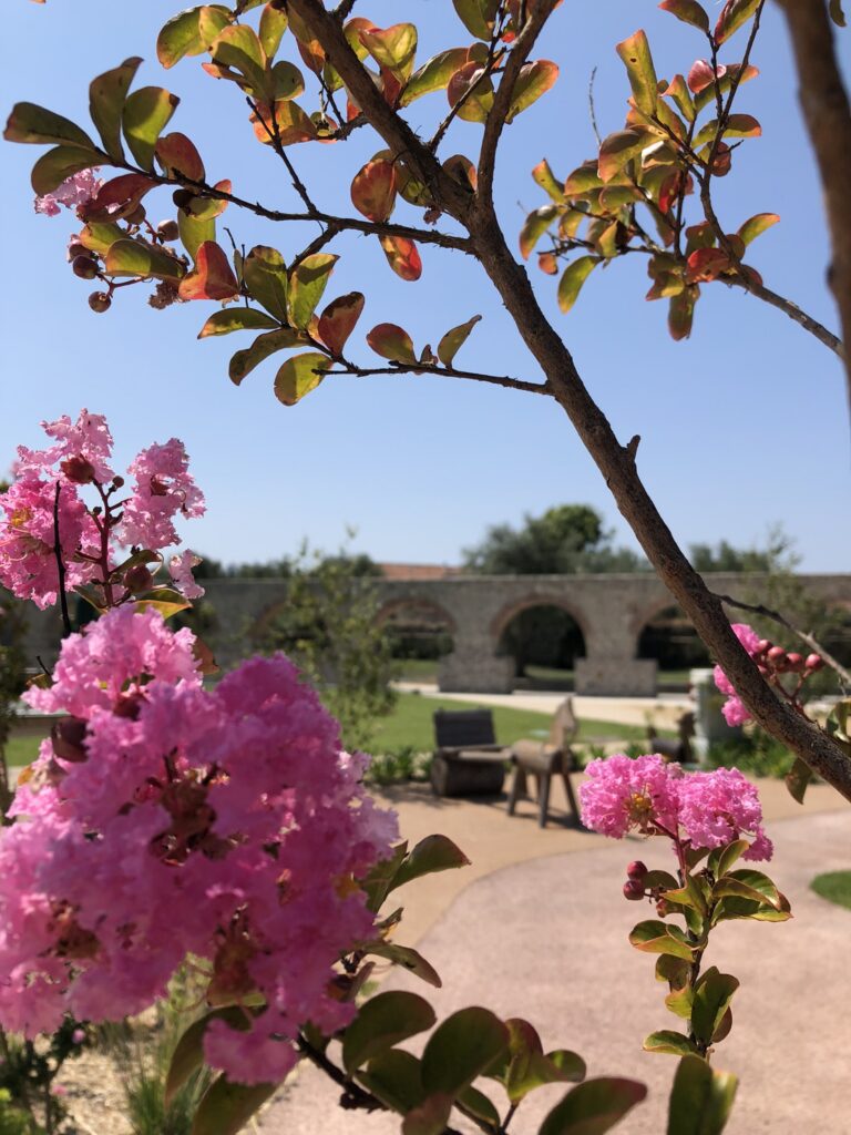 7AB2CE42 CEFD 4DD2 9D2B 4DC7829E2F9C 1 102 o 768x1024