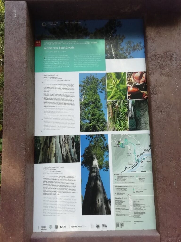 7AE5EE9F C45D 43EC 8CD5 F0204ABB7453 768x1024