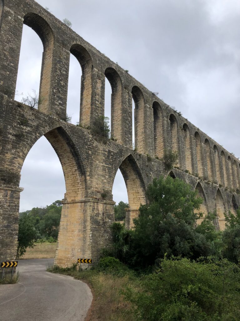 7B4ADE6A 6424 444F BA8E 106E4E220EA6 768x1024