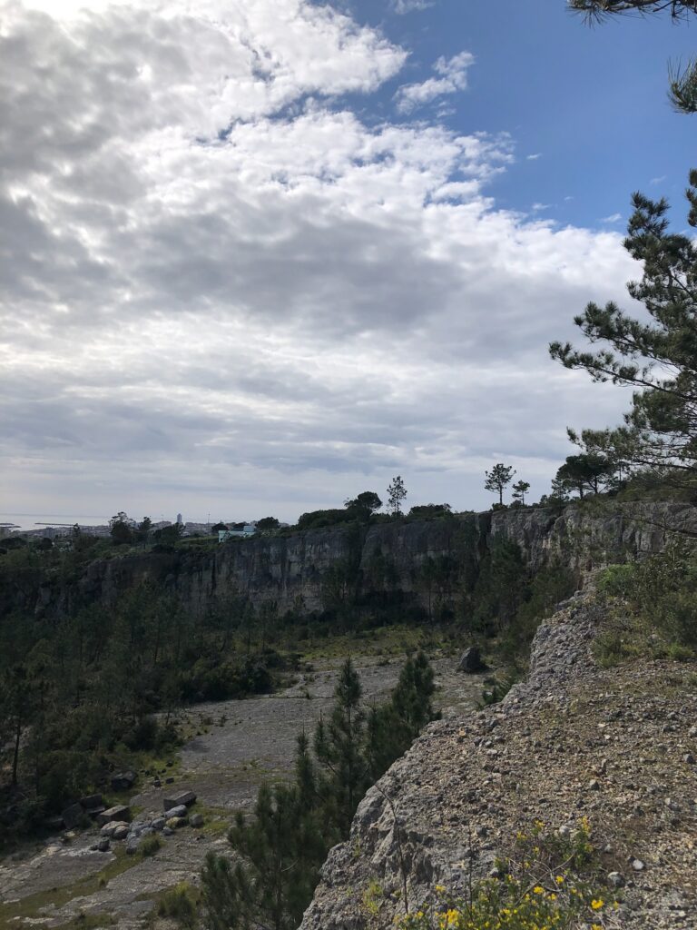 8B6A9E75 F234 40B0 9C78 0AB1BB2126A0 768x1024