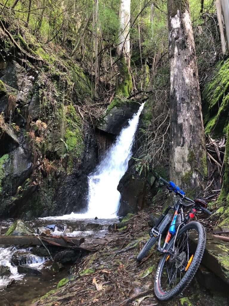 8B7A40DB 64A4 4CDD B6BF 5864996678F5 768x1024