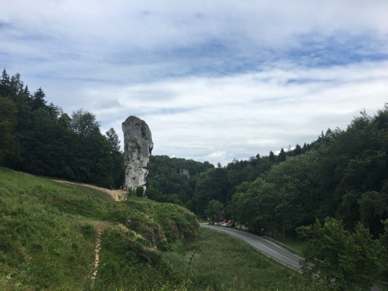 8E6EAF24 B3DC 467F 8BF3 E1A3BBF4BC93 768x576