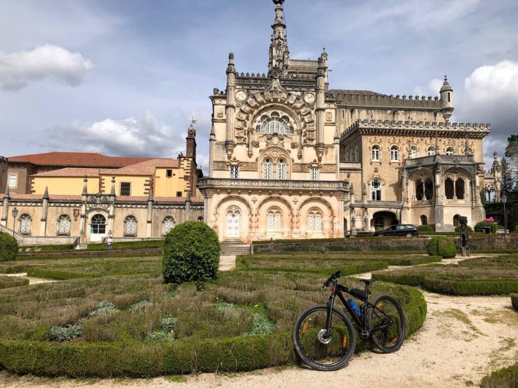 Forest palace - Bussaco Palace Hotel
