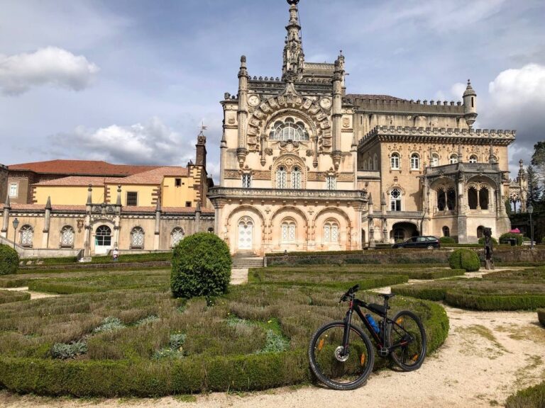 92495A79 12F6 4A8A 835F EA1721C27B5A 768x576