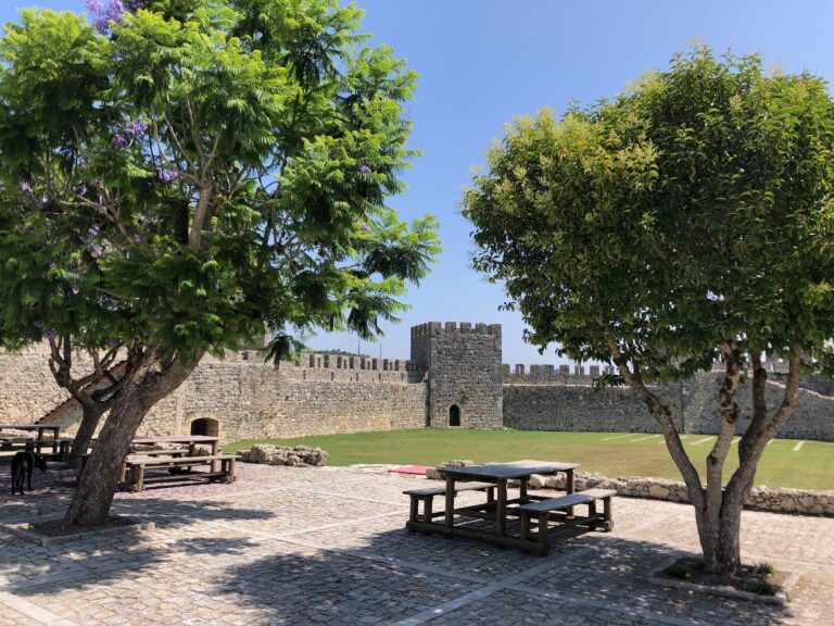 9A688328 BCA3 421D 9EE7 EB58D6F4B171 768x576