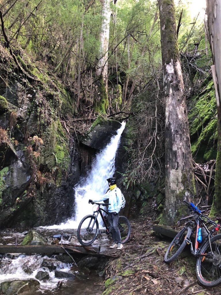 9BE8C078 100D 4540 9CFB 6547A2FB8C1C 768x1024