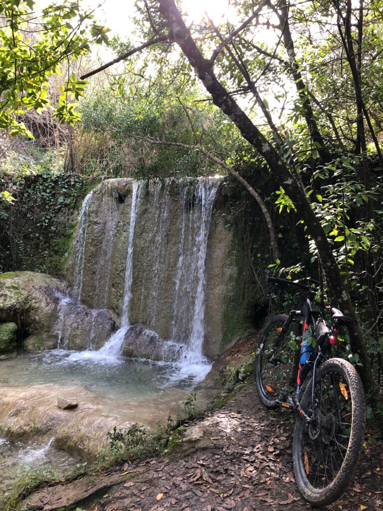 B08D103F 284E 4693 A428 7C5159EA6112 768x1024