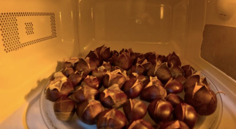 B35F642C 2599 414C 9939 29F5DE9409C3 768x420