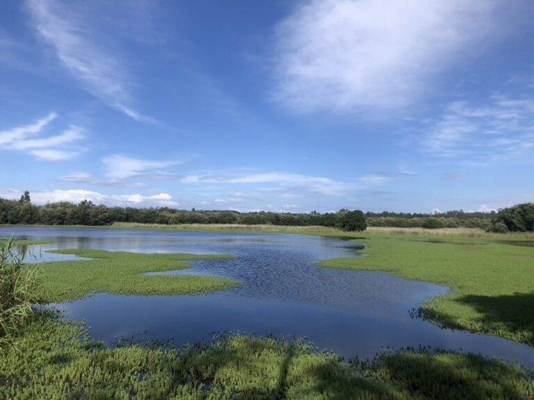 B7C3542B 32A2 4EC2 B7B7 A8E0AAF4823C 1 105 c 768x576