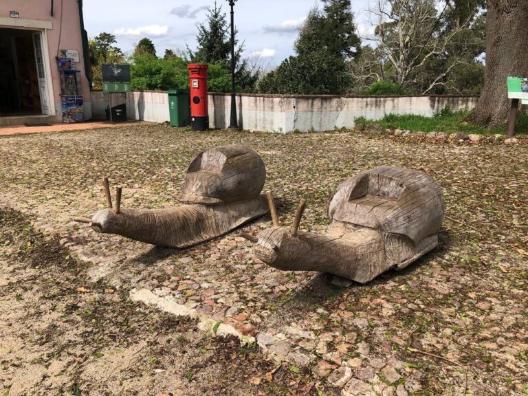 BB9AFDB0 1056 48B0 AEEB 56D9B5F692FB 768x576