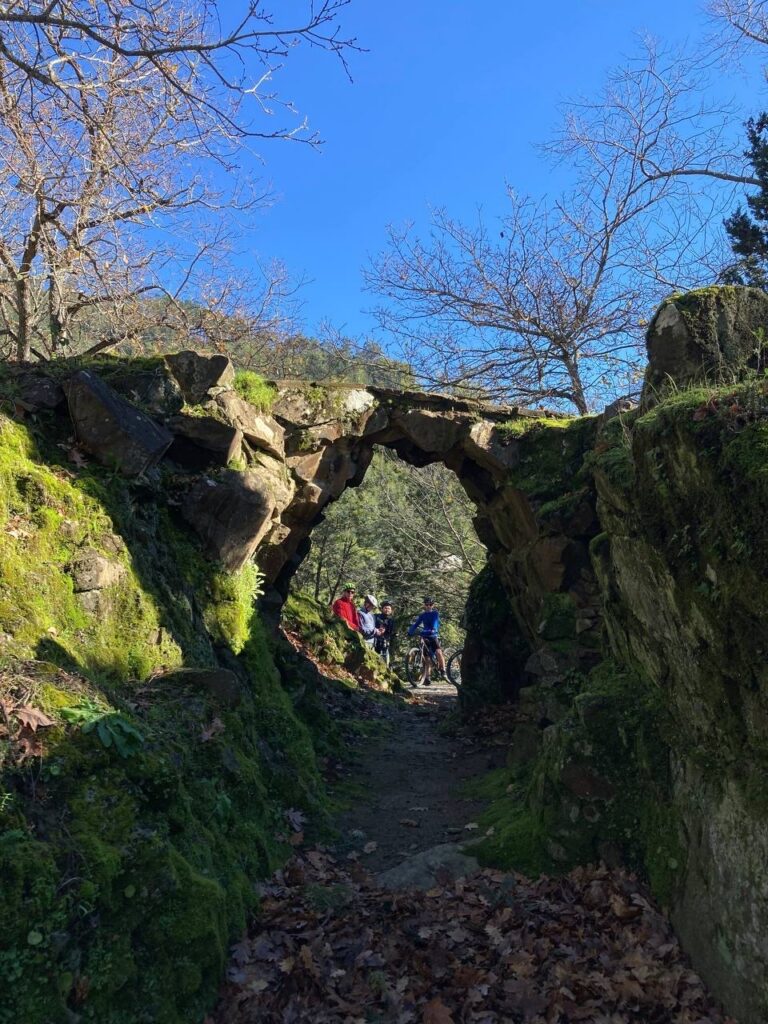 BC4C4408 144C 4707 9E99 3DE8E73B78B0 768x1024