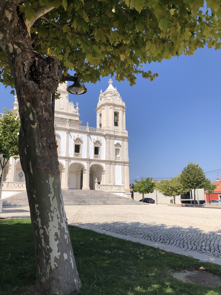 BDACDA3B CE6C 4C53 A1ED 66ED72B81AD0 1 105 c