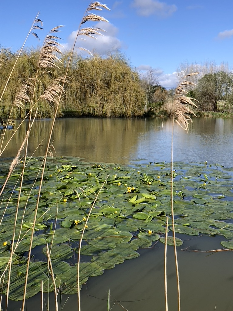 C37CD4D2 0919 435A 88AA E5E1B6A060F1 1 105 c