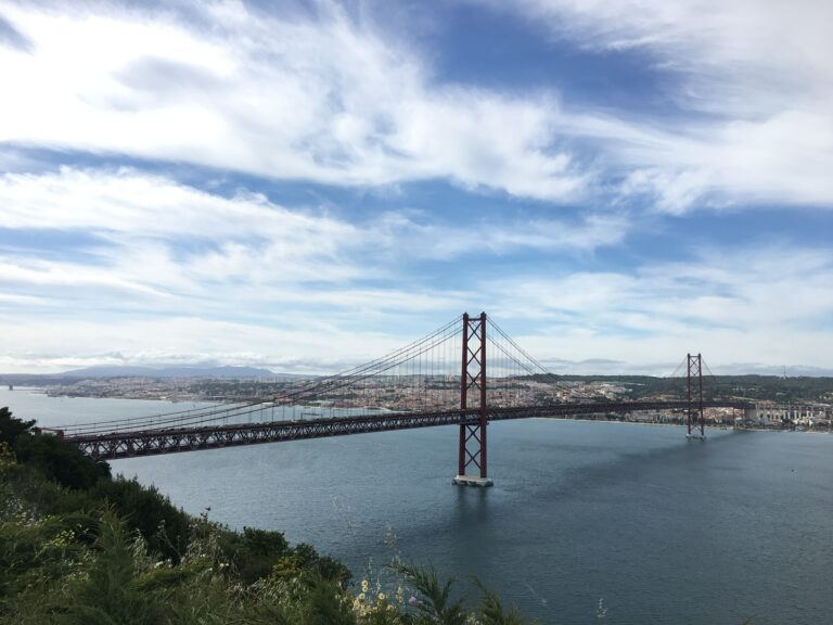 C4659C54 11ED 4D8D A4EF 84AF2FFB8C49 768x576