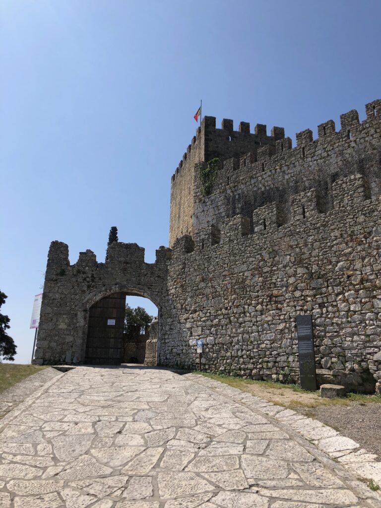 C6B4B03C 04F5 4CC2 A5D5 C8B911D26927 768x1024