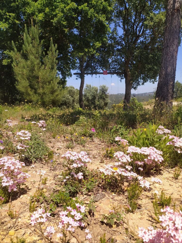 C7AE4E75 C044 4ED2 8704 A442ED4E57D3 768x1024